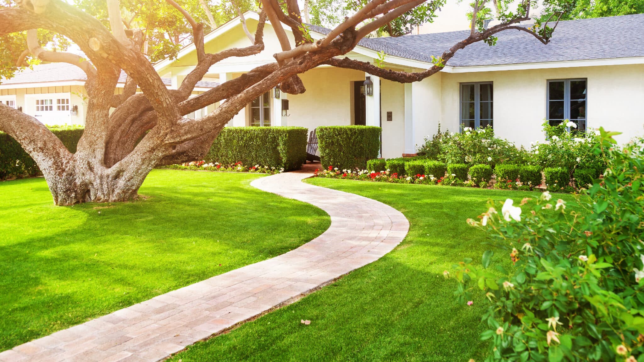 Lawn