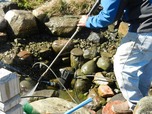Professional Pond Cleaning Guy: Clear Water, Happy Fish, Beautiful Garden